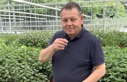 Köstliche Gerüche im Kräutergewächshaus Radicula